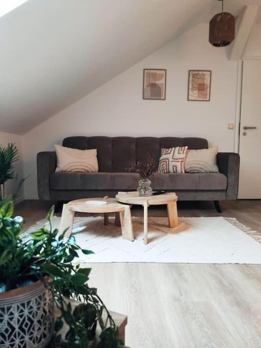 Stylische Altstadtwohnung - Netflix - Smart Tv - Schlafsofa Fuer 3 Personen Erfurt Extérieur photo