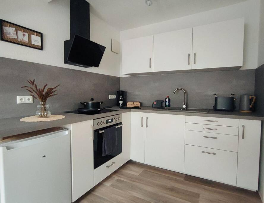 Stylische Altstadtwohnung - Netflix - Smart Tv - Schlafsofa Fuer 3 Personen Erfurt Extérieur photo